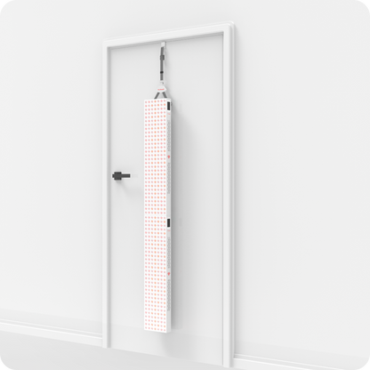 Ravlumi Pro Dual 2.0 — 420-LED Full-Body Panel Array