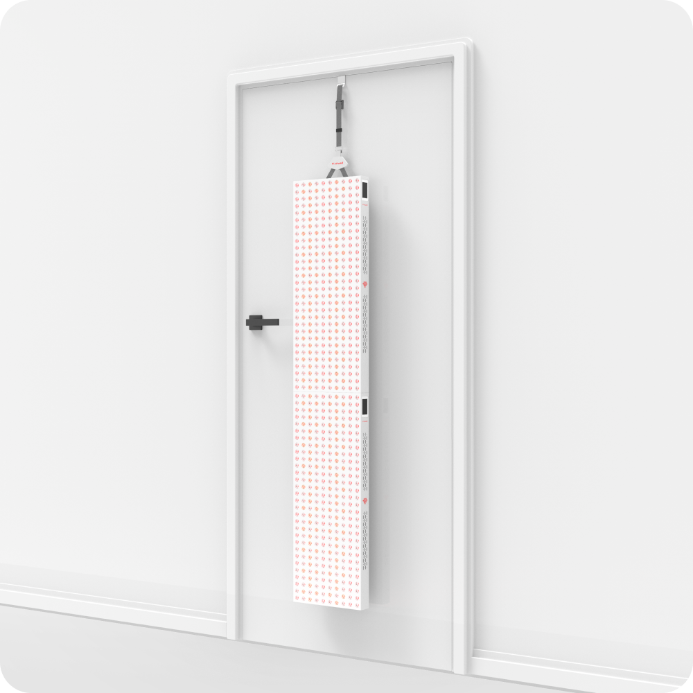 Ravlumi Pro Dual Plus 2.0 — 600-LED Full-Body Panel Array