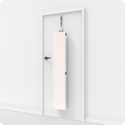 Ravlumi Pro Dual Plus 2.0 — 600-LED Full-Body Panel Array